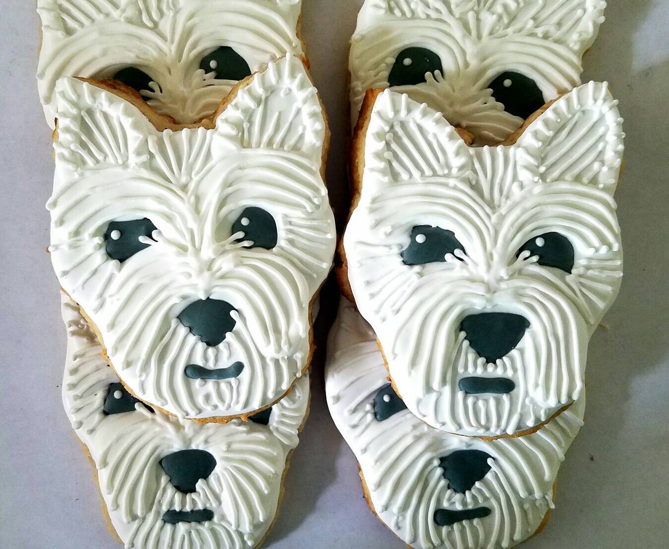 Dog cookies 12