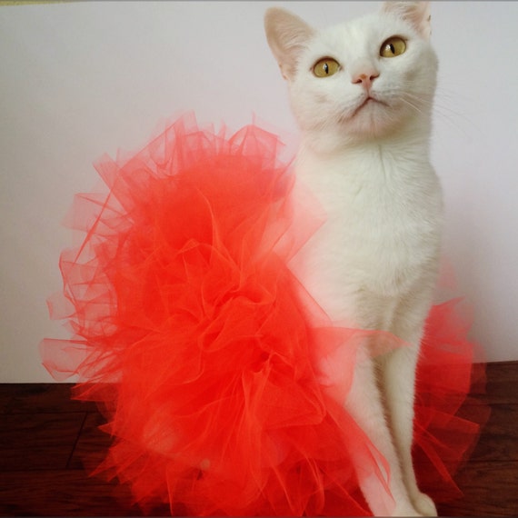 Neon Cat Tutus Cat Clothes Handmade Cat Tutu Coral Cat