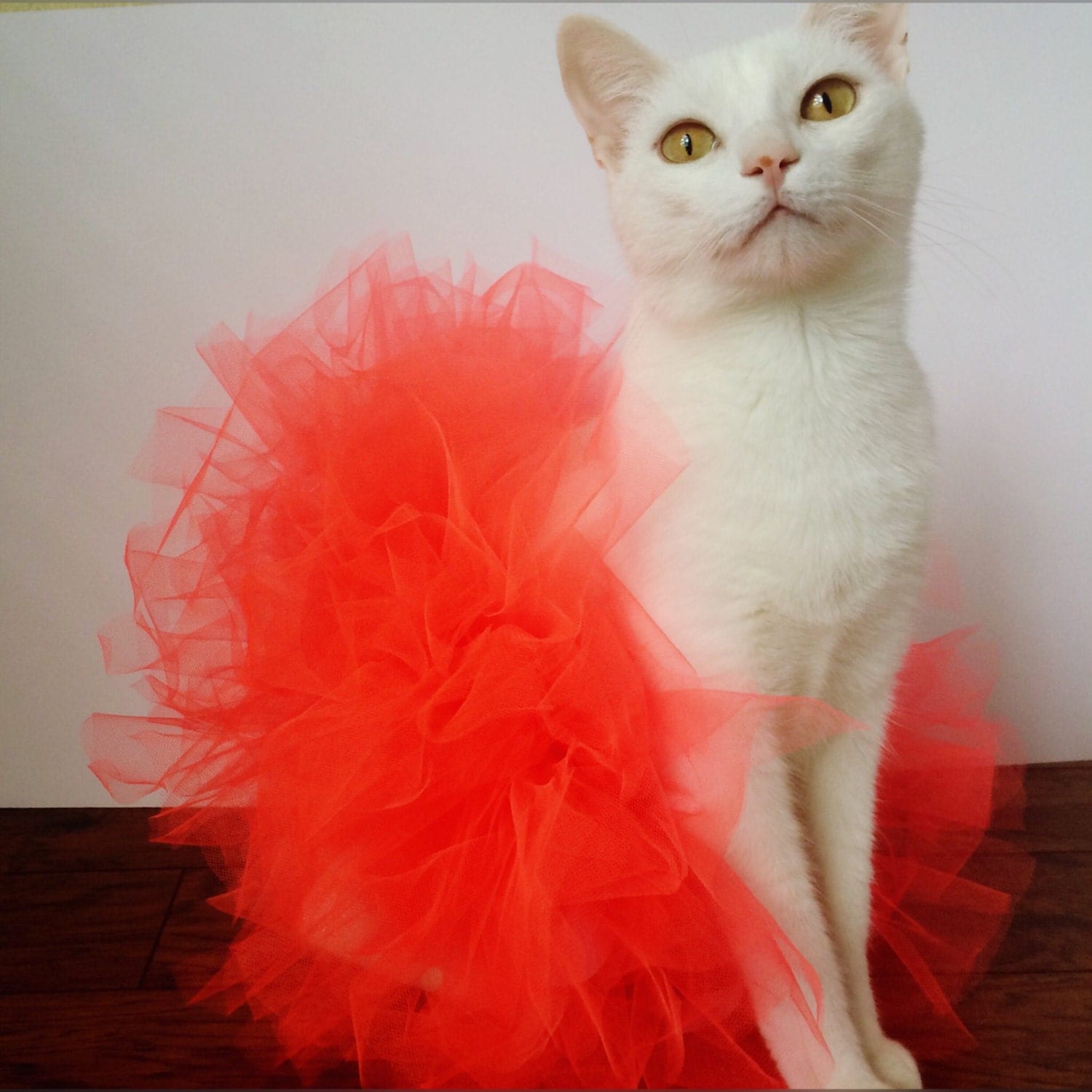 Cat Tutu Cat Clothes Handmade Cat Tutu Coral Cat Tutu