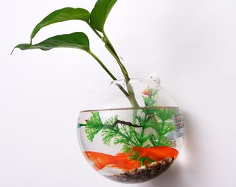 Wall bubble terrarium // wall plant planter vase// wall mounted bubble glass fish bowl // great for indoor decoration wall gardening