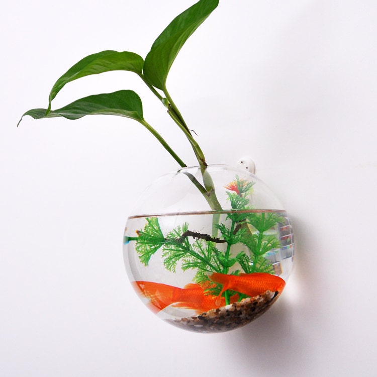 Wall Hanging Planter wall bubble terrarium // wall plant planter vase// wall Wall Hanging Planter wall bubble terrarium // wall plant planter vase// wall