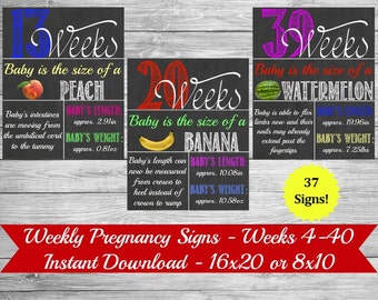 Weekly Pregnancy Chalkboard, Maternity Photo Prop, Baby Bump Sign, Pregnancy Week By Week, Pregnancy Countdown, Baby Countdown, Weekly Baby