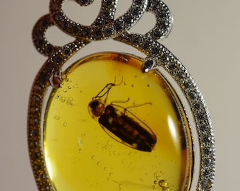 Dominican Amber Fossil-BAP606 Super Nice Lightning Bug on 925 Silver Base Pendant