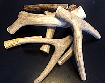 Whole Deer Antler Dog Chews-Free Shipping-Choose From Various Sizes