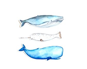 Glossy Watercolor Whale Sticker