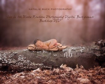 Log in the Woods newborn Digital Background/ Backdrop PSD