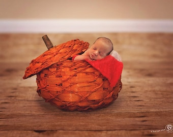 Newborn Fall Pumpkin Digital Backdrop