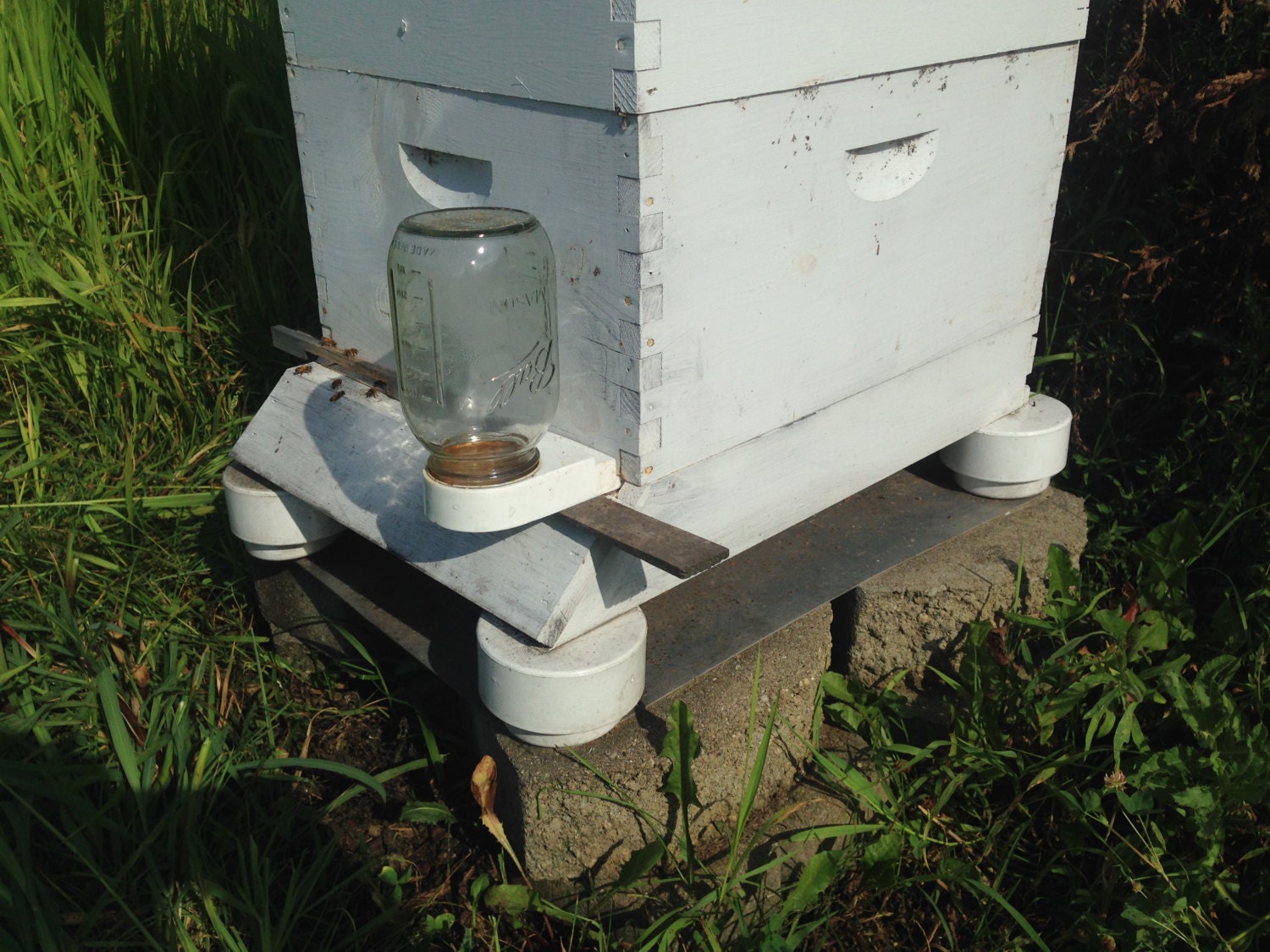 HONEY BEE Hive DIY Auto Ant Repellent Platforms How To Do