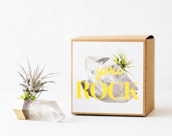Thank You Gift, Best Friend Birthday, Coworker Gift, Unique Gifts, Boss Appreciation Gift, Hostess Gifts, Gold Dipped Crystal Air Plant