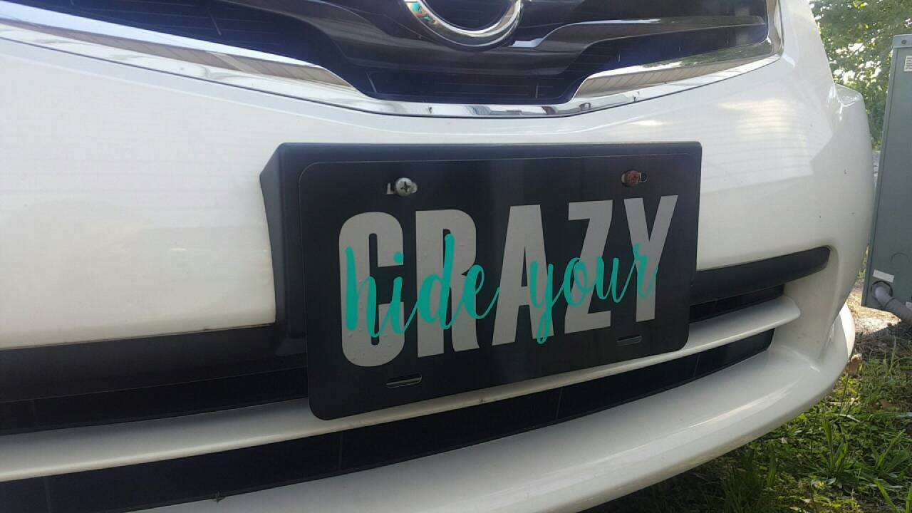 Hide your crazy license plate by SouthernMessByAshley on Etsy