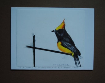Yellow Bird Drawing