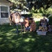Debbi Houtz