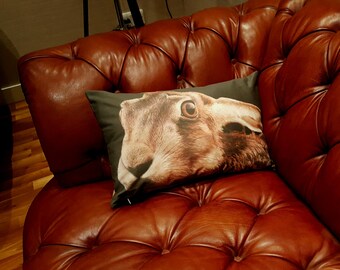 Hare Stare! - Hare design cushion, Hare pillow, Hare Pillow Cover, Hare decorator throw pillows, Hare throw cushion
