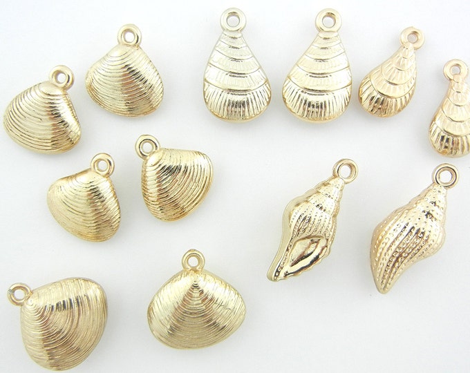 12 Dimensional Variety Seashells in Gold-tone Acrylic