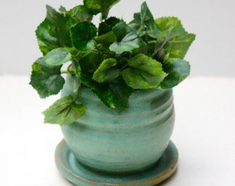 African violet pots | Etsy