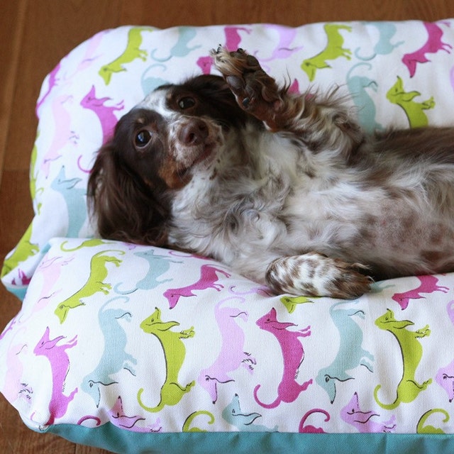 Bunbeds Dachshund Beds Small Dog Beds by TheOminousCloud