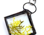 Nature Jewelry, Real Moss Necklace, Dry Pressed Moss, Mini Terrarium, Geometric Necklace, Nature Lover (1748) Nature Jewelry, Real Moss Necklace, Dry Pressed Moss, Mini Terrarium, Geometric Necklace, Nature Lover (1748)