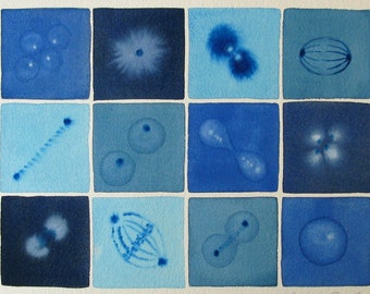 Cell Division Blue 12 - Original Watercolor Painting