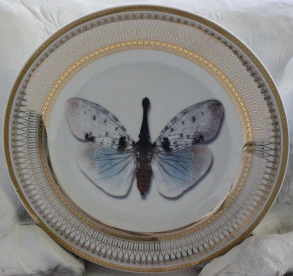 Gold Porcelain Butterfly Plates Bug Plates Insect China