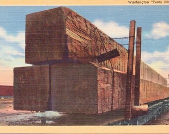 Washington "Tooth Picks" , Logging, Lumberjacks - Vintage Postcard - Postcard - Unused (A9)