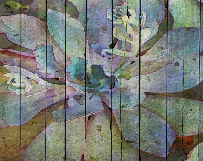 Colorful Succulent. Canvas Print by Irena Orlov 24x36"