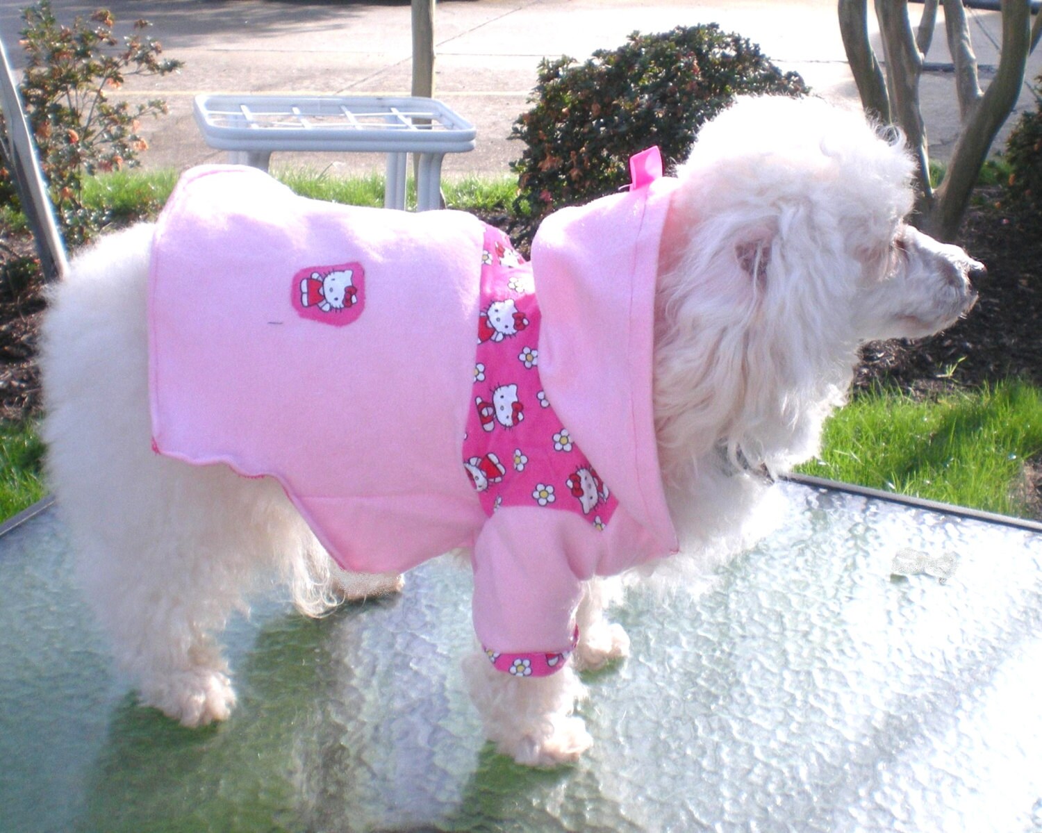 Dog Clothes Dog Hoodie Hello Kitty Dog Hoodie Warm And Cozy