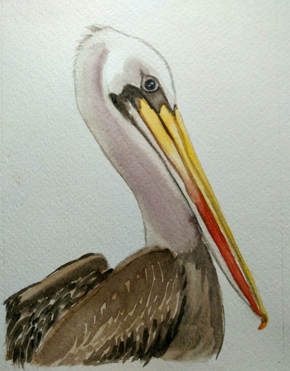 ORIGINAL Brown Pelican / Pelican watercolor painting / Pelican