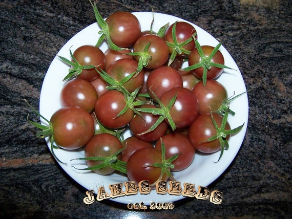 Black Cherry Heirloom Tomato Seeds SALE ITEM