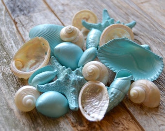 Beach Wedding, Seashells, Bulk Seashells, Beach Decor, Painted Shells, Shells, Seashell Decor, Painted Seashells, Sea Mist and Pearl Shell