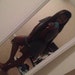 Baddie Nece