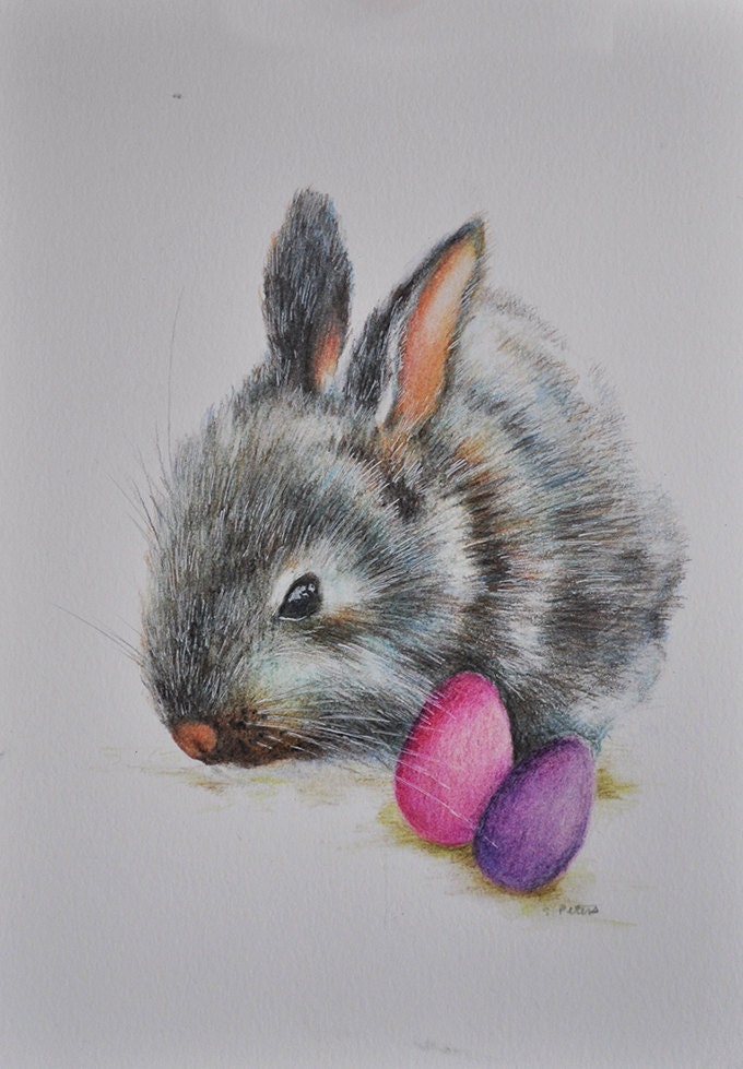 Original Drawing Colored Pencil Rabbit Easter Bunny Portrait