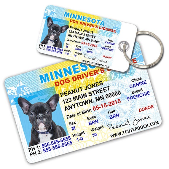 Minnesota Driver License Custom Pet ID Tags and Wallet Card