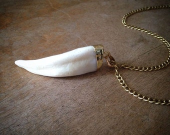 Real Wolf Tooth Necklace - 24K Gold Plated Cap Pendant - Charm and Brass Chain - Wolves Teeth Jewelry