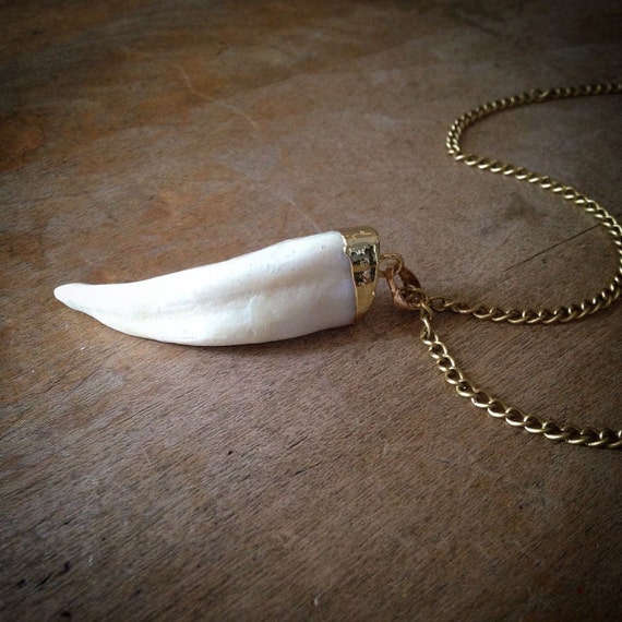 Real Wolf Tooth Necklace 24K Gold Plated Cap Pendant Charm