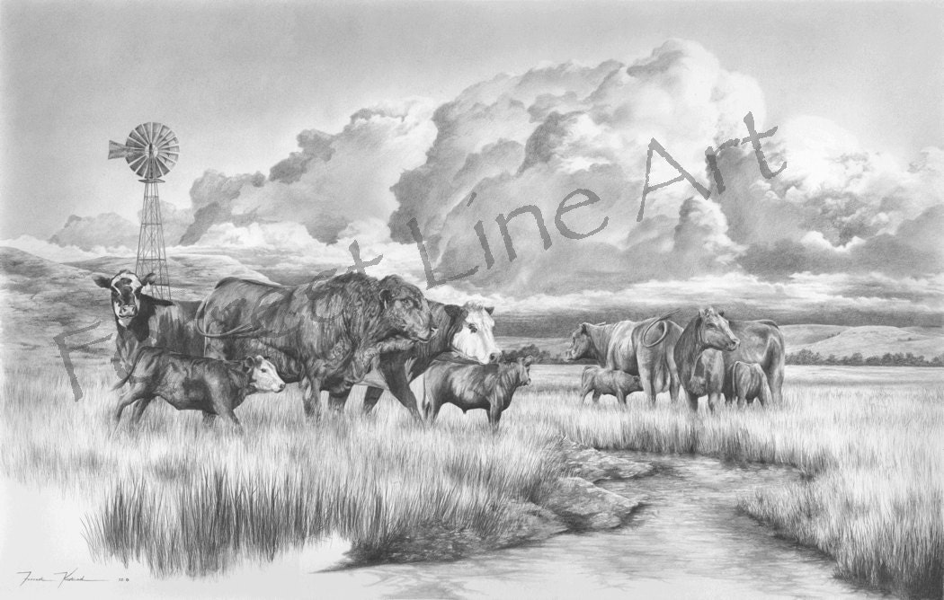 cattle ranch drawing art print of American cattle heard by 4sLine