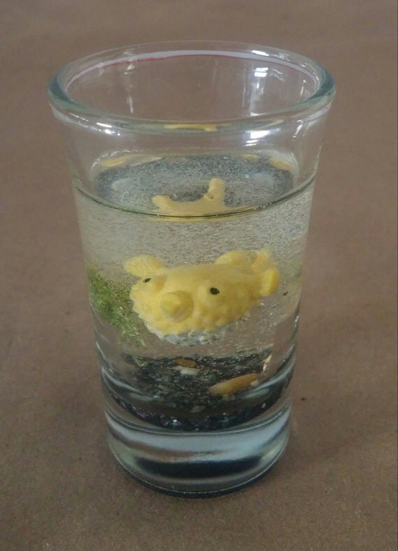 Puffer Fish Shot Glass Aquarium by LawrenceFamilyCrafts on Etsy