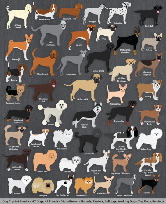 Dog Clip Art Bundle Digital Dog Clipart 50 dogs 43 by VizualStorm