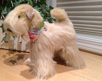 plush wheaten terrier