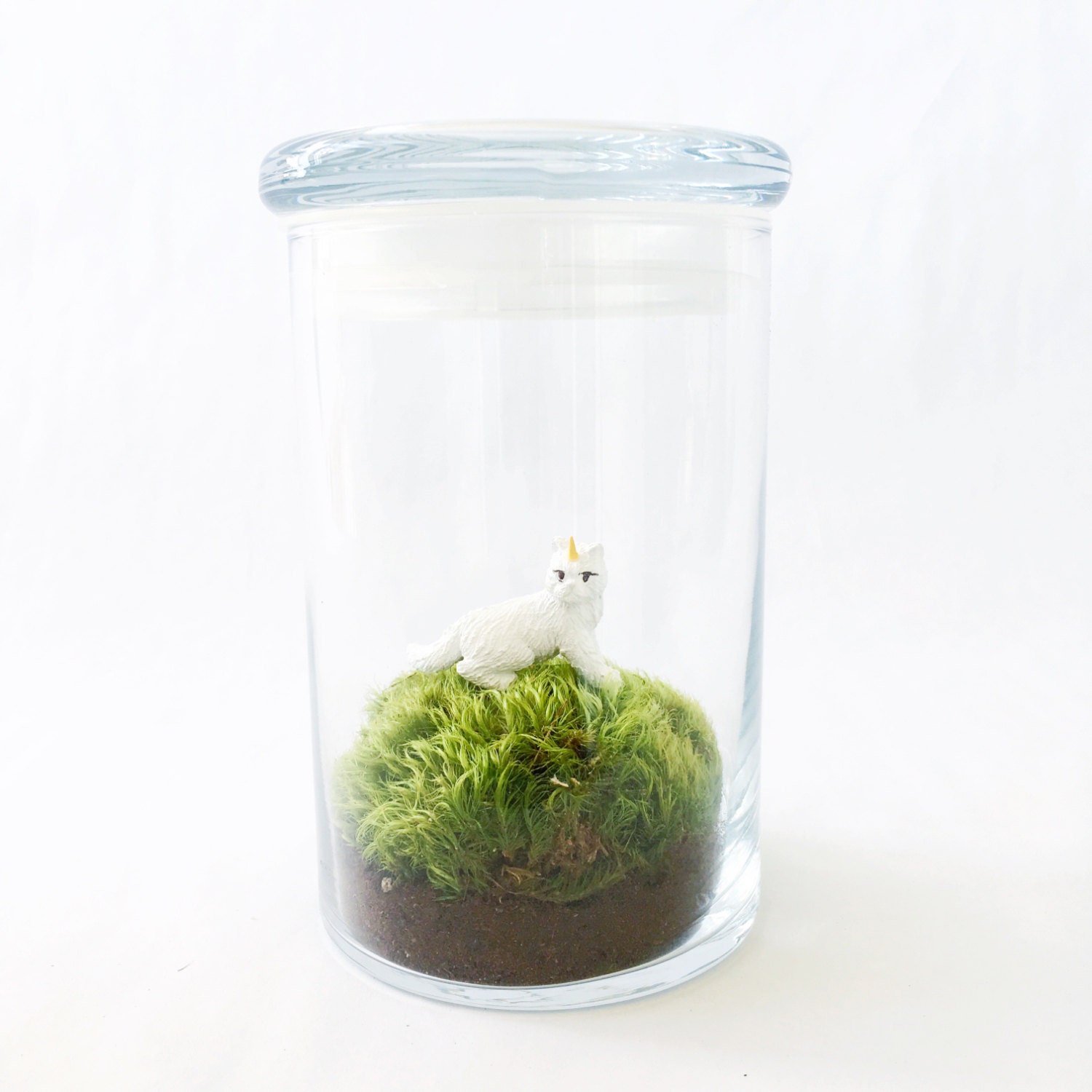 caticorn moss terrarium glass terrarium jar unicat caticorn moss terrarium glass terrarium jar unicat