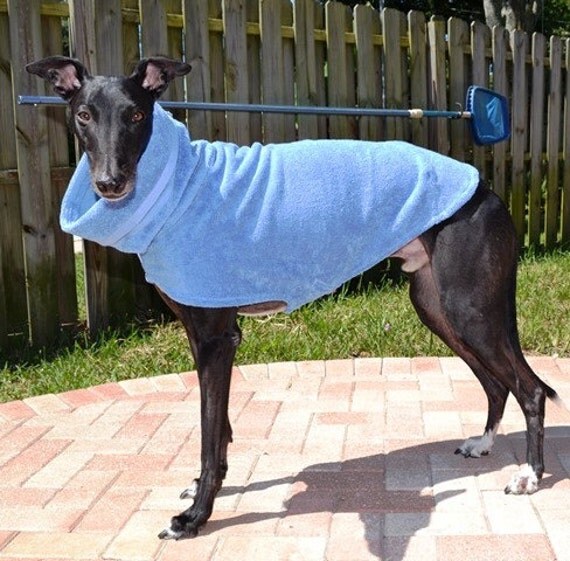 Items similar to Greyhound Cool Coat. Surf Blue After Bath Coat. Coat