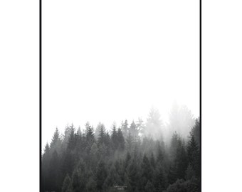 walk through the FOREST - A3 Artprint - Poster