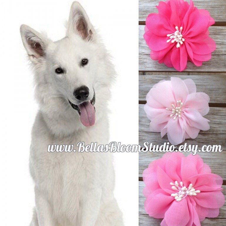 Pink Dog collar flowers dog collarGirl dog accessories Dog