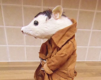 You dirty rat. Free shipping