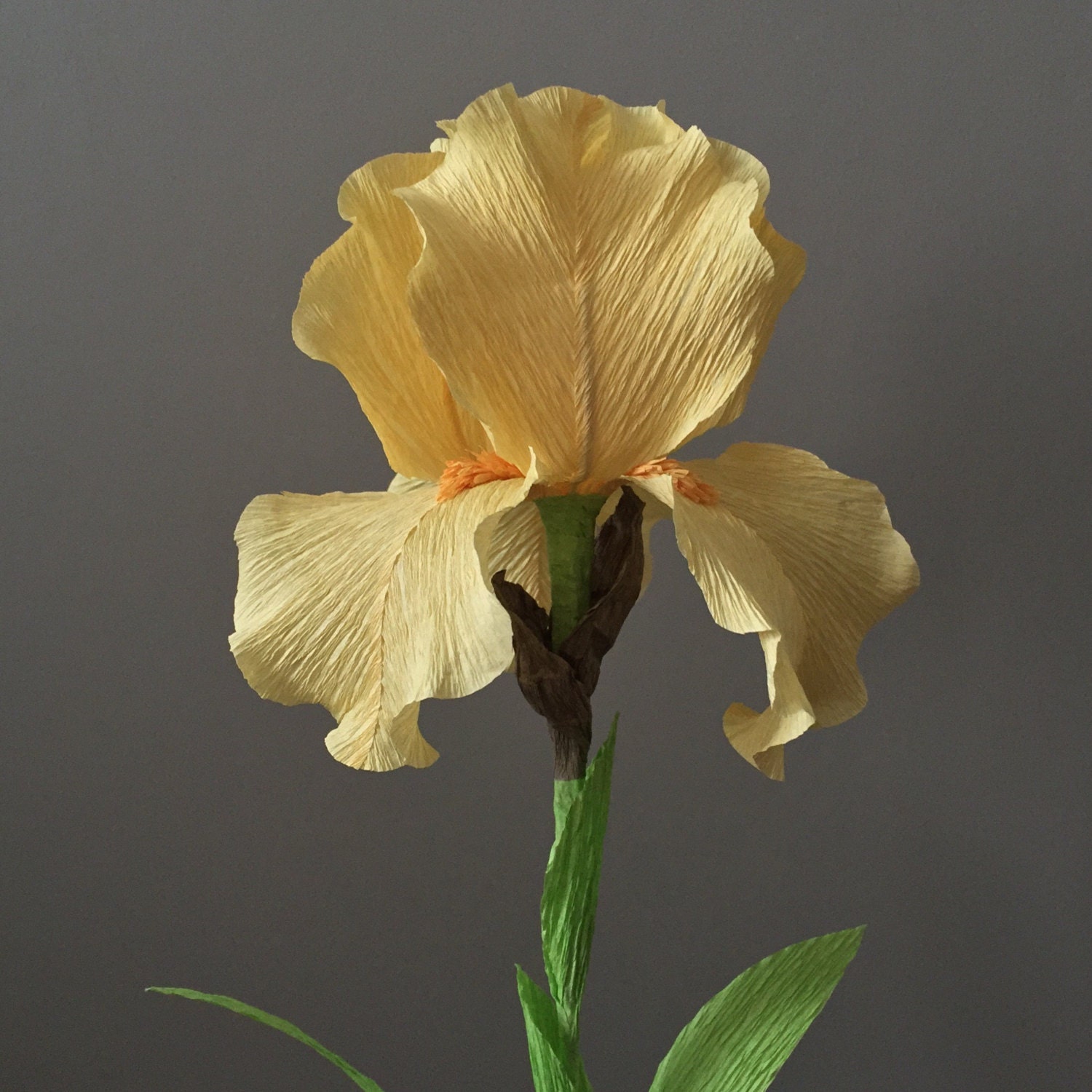 Crepe Paper Bearded Iris Single Stem Wedding by NectarHollow
