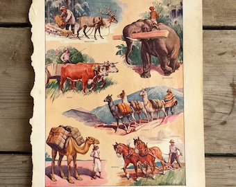 Vintage Working Animals Print. 1941 Merriam Webster Dictionary Page. Print for Framing. Antique Print of Animals Working Wall Hanging.