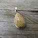 Fossil Coral Sterling Silver Pendant