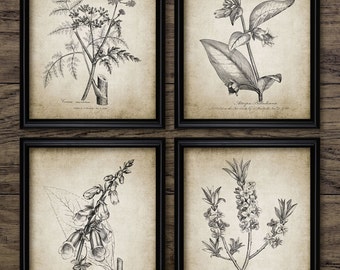 Antique Botanical Print Set of 4 - Plant Botanical Art Decor - Digital Art - Printable Art - Set Of Four Prints #190 - INSTANT DOWNLOAD