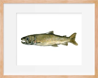 Items similar to Fish Trout (German Brown Trout Print) 11x14