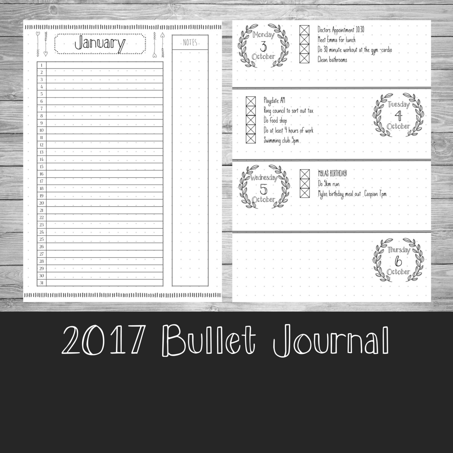 2017 Bullet Journal Style 1