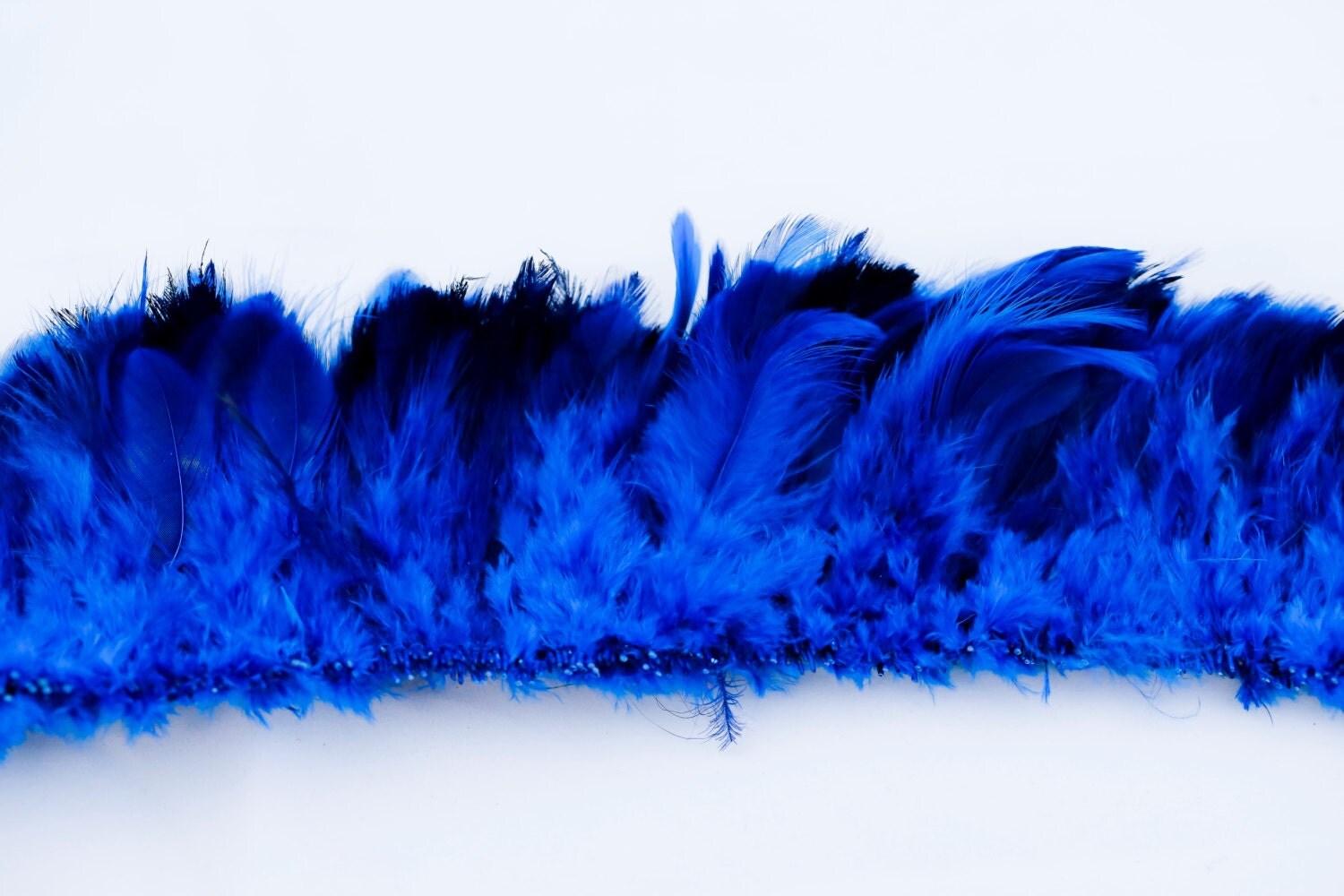 Royal blue plumage feathers 2" 3" from iheartpolynesia on Etsy Studio